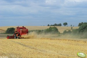 Case IH CT5080