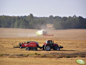 Case IH CVX 160 + Case IH LB 423 & Claas Lexion 540 C