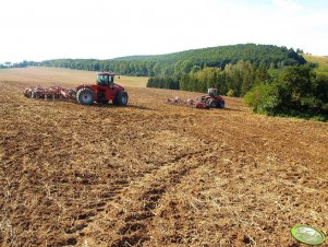 Case Steiger 385 + Horsch Tiger 6LT x2