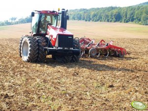 Case Steiger 385 + Horsch Tiger 6LT