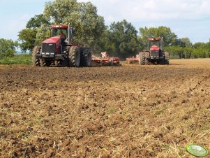 Case Steiger 385 + Horsch Tiger 6LT