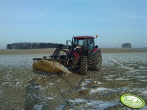 Case z kukurydzą