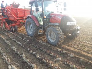 CASE Farmall 65 A + Grimme LK 650