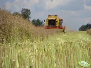 Cat Lexion 450