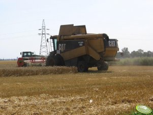 CAT Lexion 460