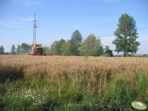 Caterpillar Lexion 460