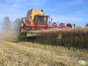 Caterpillar Lexion 460