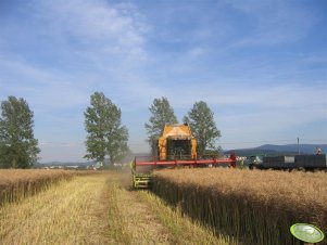 Caterpillar Lexion 460