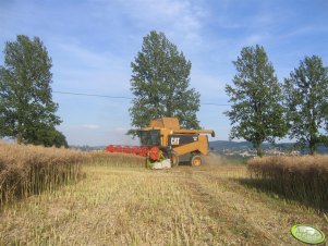 Caterpillar Lexion 460