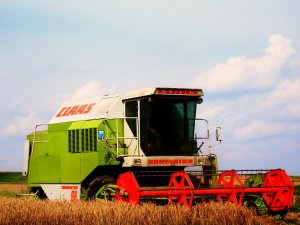 Claas Dominator 98