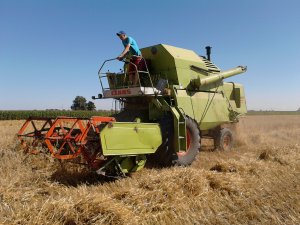 Claas Mercator 60