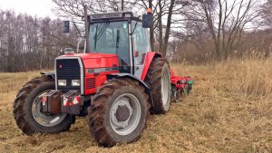 Massey Ferguson 3095 i Agro-Masz