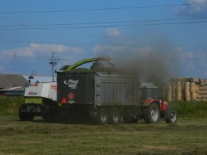 Massey Ferguson 5465