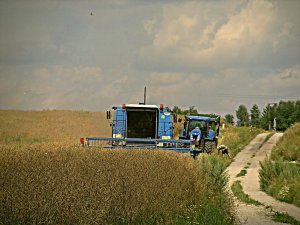 Bizon BS Z-110 & NH T7050 + Fliegl
