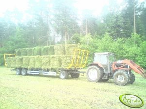 Massey Ferguson 375 & Platforma Wielton