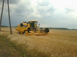 New Holland TC54