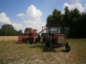 Ursus i Massey ferguson