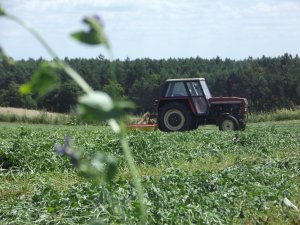 Zetor 8011 + Rotacyjna