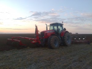 Massey Ferguson  6499