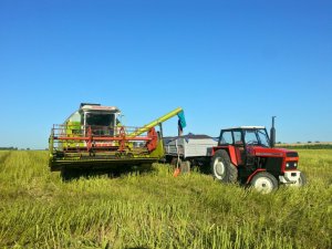 Claas Dominator 96 / Ursus 1012