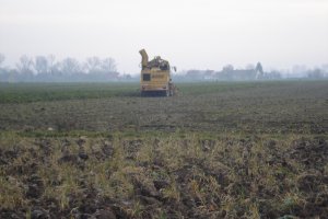 Ropa euro tiger v8-4