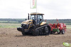 Challenger MT756C + Amazone+Grimme GL 34 T