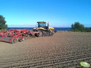 Challenger MT875 b + Horsch Tiger 8 as