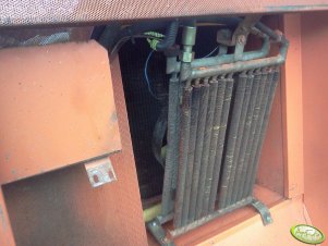 Chłodnica oleju w Bizonie