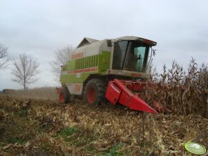 Claas 204 Mega Dominator & Geringhoff