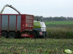 CLAAS 950 JAGUAR