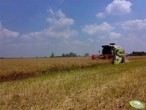 Claas 98sl Classic