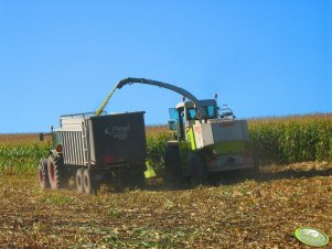 Claas Ares 836 & Fliegl & Jaguar 