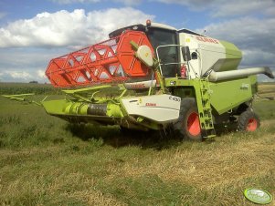 Claas Avero 240