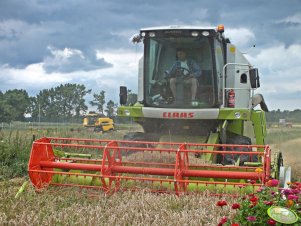 Claas Avero 240 