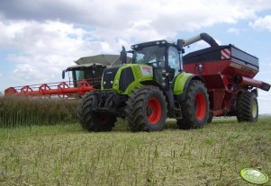 Claas Axion 820 + Horsch