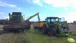 Claas Axos 330 + Wielton & Dominator 85