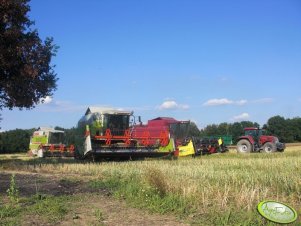 Claas, Case IH