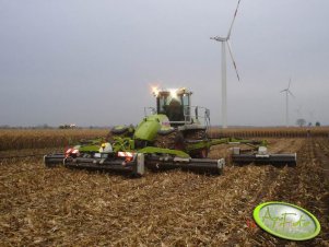 Claas Cougar