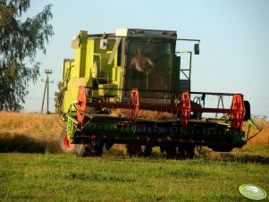 Claas Dominator 105