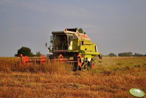 Claas Dominator 106