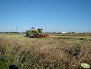 Claas Dominator 108 Maxi