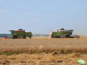 Claas Dominator 108sl & Mega 208.