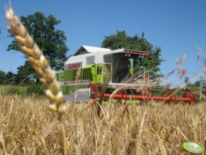 Claas Dominator 118 