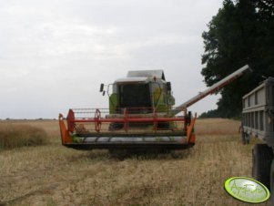 Claas Dominator 204