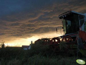 Claas Dominator 204 