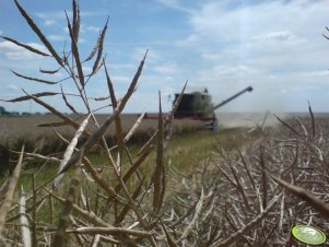 Claas Dominator 218 Mega