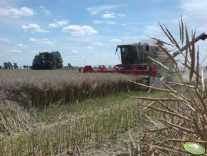 Claas Dominator 218 Mega