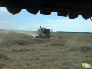 Claas Dominator 218 Mega