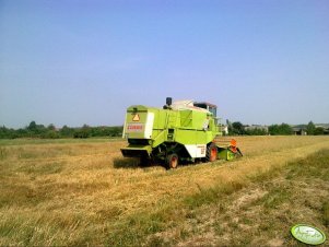 Claas Dominator 56