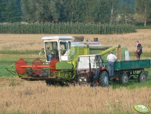 Claas Dominator 66 i Ursus 3512